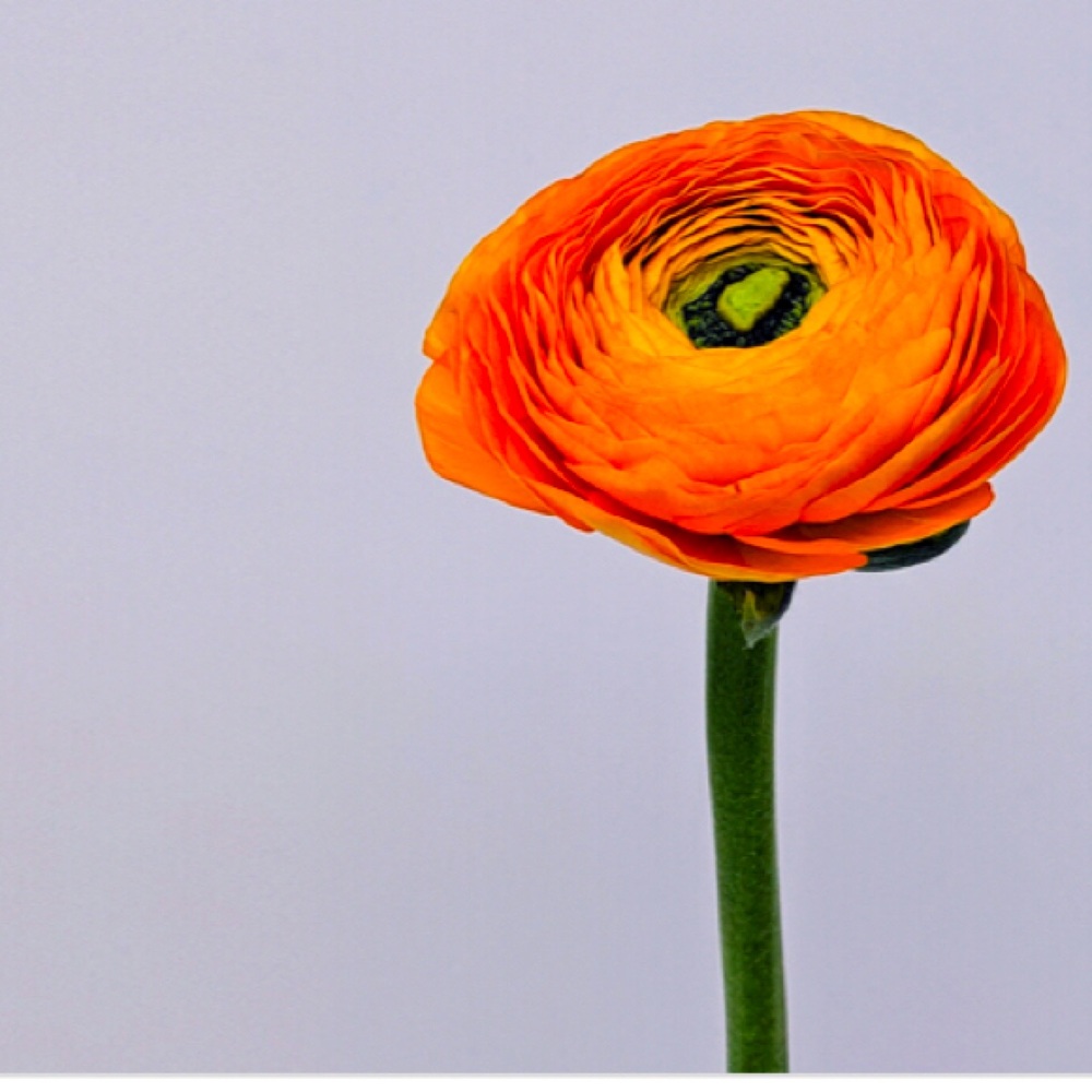 I love bundles & offers